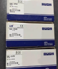 LS  G4Q-RY2A-模块